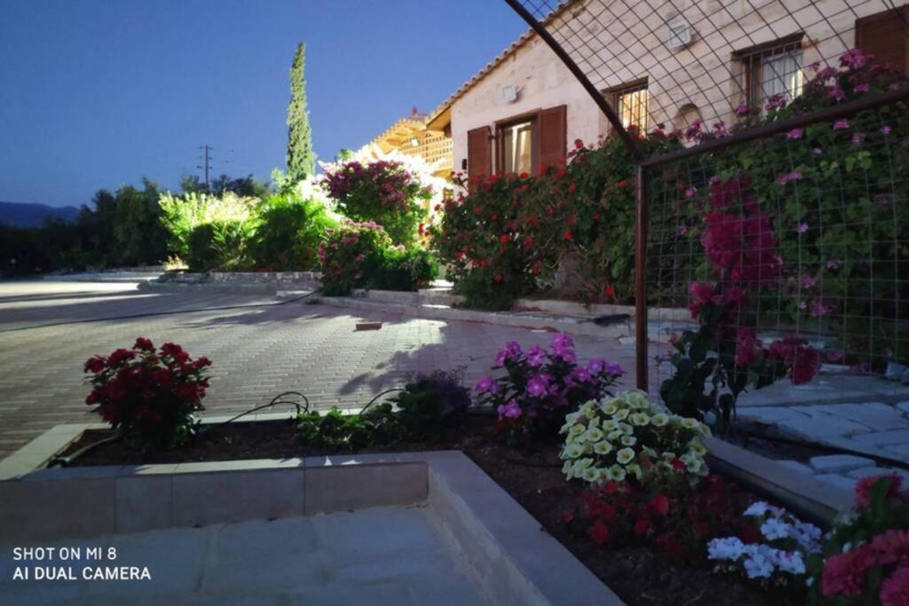 Stonehouse Olivelia - Afrathias Beach Tympaki Bagian luar foto
