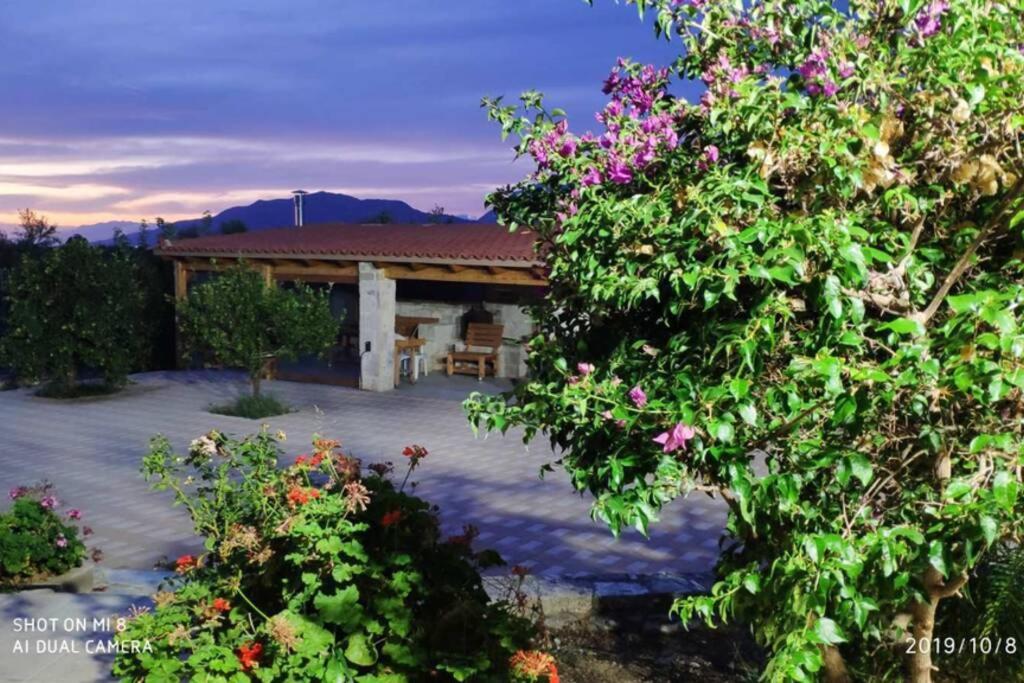 Stonehouse Olivelia - Afrathias Beach Tympaki Bagian luar foto