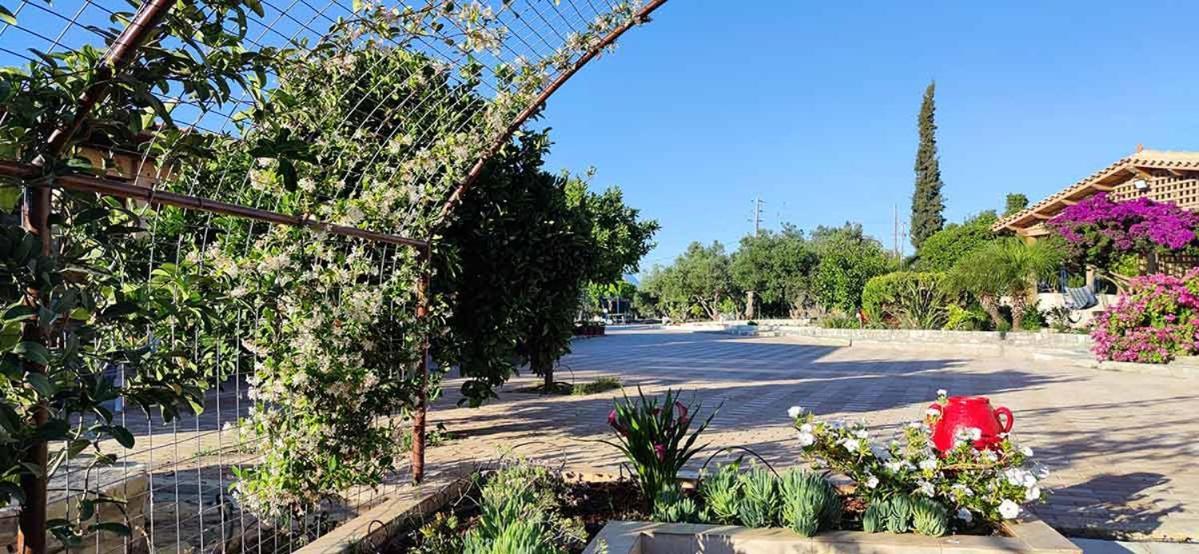 Stonehouse Olivelia - Afrathias Beach Tympaki Bagian luar foto
